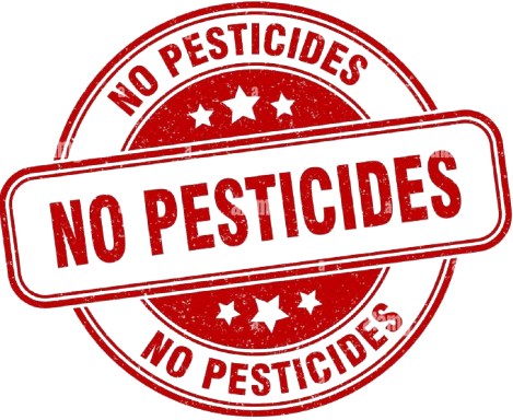 No pesticides